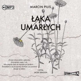 Łąka umarłych. Audiobook - Marcin Pilis