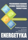 Poszukiwania naukowe w dobie transformacji energetycznej Kijewski Iwo, Kwiatkiewicz Piotr, Szczerbowski Radosław