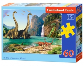 Puzzle 60: In the Dinosaurs World