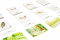 Biblioteczka Montessori. Ptaki Europy - Ève Herrmann
