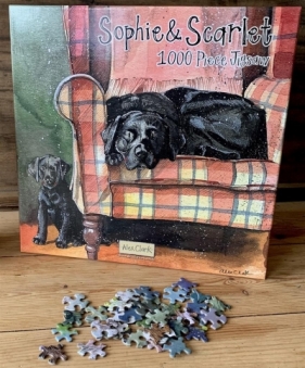 Puzzle 1000 J08 Psy Sophie&Scarlett