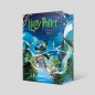 Harry Potter i Czara Ognia. Tom 4. Polska okładka z barwionymi brzegami - J.K. Rowling