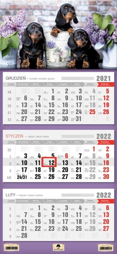 Kalendarz 2022 trójdzielny Pieski