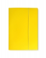 Bantex, Teczka kartonowa A4 z gumką, żółta (100553870)