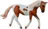Koń rasy pinto mare palomino (konie - xl)