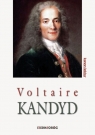 Kandyd Voltaire