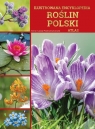 Ilustrowana encyklopedia roślin Polski. Atlas Anna Przybyłowicz