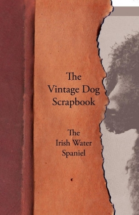 The Vintage Dog Scrapbook - The Irish Water Spaniel - Various