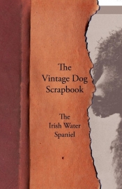 The Vintage Dog Scrapbook - The Irish Water Spaniel