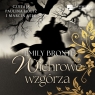  Wichrowe Wzgórza (książka audio)