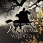 Wichrowe Wzgórza (Audiobook) - Emily Jane Brontë