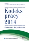 Kodeks pracy 2014. Komentarz dla praktyków