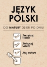 Język Polski. Do matury dzień po dniu Izabela Sieranc