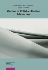 Outline of Polish collective labour law