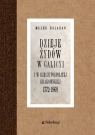Dzieje Żydów w Galicyi i Rzeczypospolitej Krakowskiej 1772-1868 Bałaban Majer