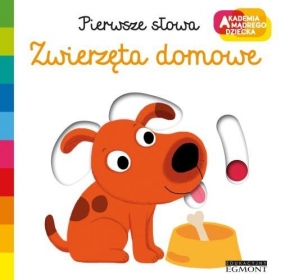 Zwierzęta domowe. Pierwsze słowa AMD - Nathalie Choux