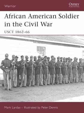 African American Soldier in the American Civil War - Mark Lardas, M Lardas