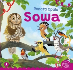 Sowa - Opala Renata