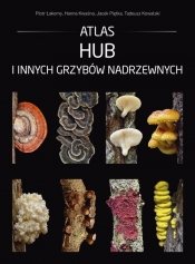Atlas hub i innych grzybów nadrzewnych - Łakomy Piotr, Kwaśna Hanna, Piętka Jacek, Kowalski Tadeusz
