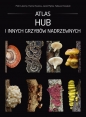 Atlas hub i innych grzybów nadrzewnych - Piotr Łakomy, Jacek Piętka, Tadeusz Kowalski, Hanna Kwaśna