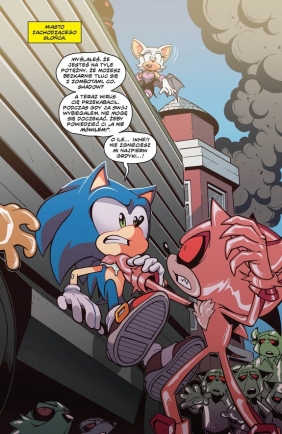 Sonic the Hedgehog 10. Kryzys 2 - Ian Flynn, Tracy Yardley, Jack Lawrence
