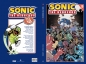 Sonic the Hedgehog 10. Kryzys 2 - Ian Flynn, Tracy Yardley, Jack Lawrence
