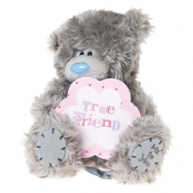 Miś 18 cm z plakietką True Friend