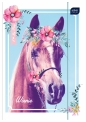 Teczka z gumką A4 LUX UV Pony