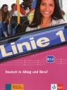 Linie 1 Deutsch in Alltag und Beruf B1.2 + DVD Dengler Stefanie, Hoffmann Ludwig, Kaufmann Susan