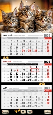 Kalendarz 2026 trójdzielny płaska główka - Kotki