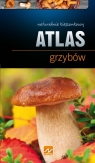 Natura Atlas grzybów  Kamiński Wiesław