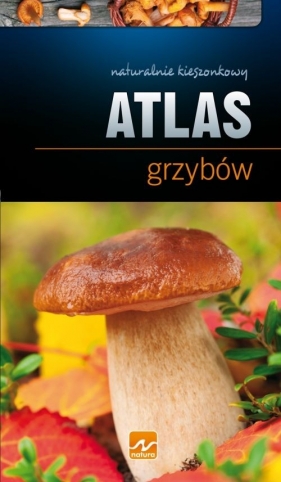 Natura Atlas grzybów - Kamiński Wiesław<br />