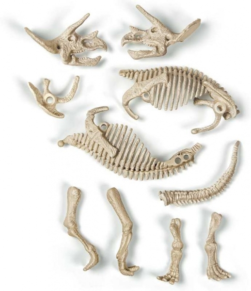 Naukowa Zabawa: Skamieniałości - Triceratops (60892) 