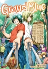 Grand Blue. Tom 15 Kenji Inoue, Kimitake Yoshioka