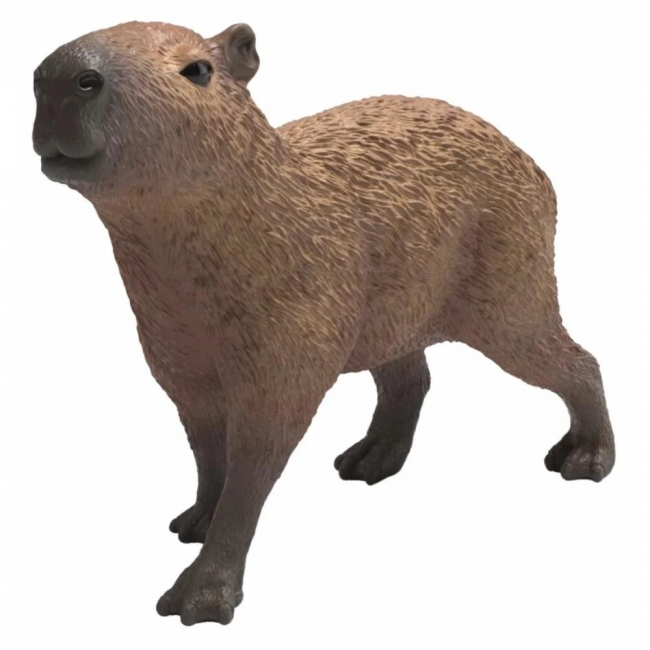 Kapibara