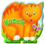 Kotek