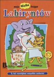 Moja wielka księga labiryntów