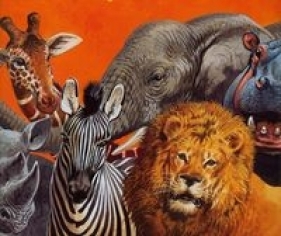 Zwierzęta Safari