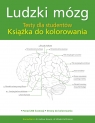 Ludzki mózg. Testy dla studentów. Książka do kolorowania