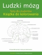 Ludzki mózg. Testy dla studentów. Książka do kolorowania - Opracowanie zbiorowe
