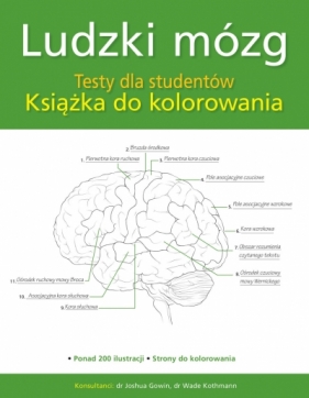 Ludzki mózg. Testy dla studentów. Książka do kolorowania - Praca zbiorowa