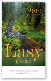 Kalendarz 2019 Reklamowy Lasy Polskie RW3