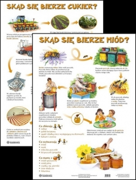 Plansza Skąd się bierze cukier? Skąd się bierze miód?