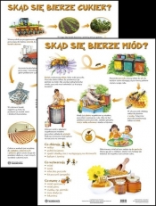 Plansza Skąd się bierze cukier? Skąd się bierze miód?