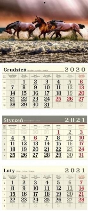 Kalendarz 2021 Trójdzielny Konie CRUX