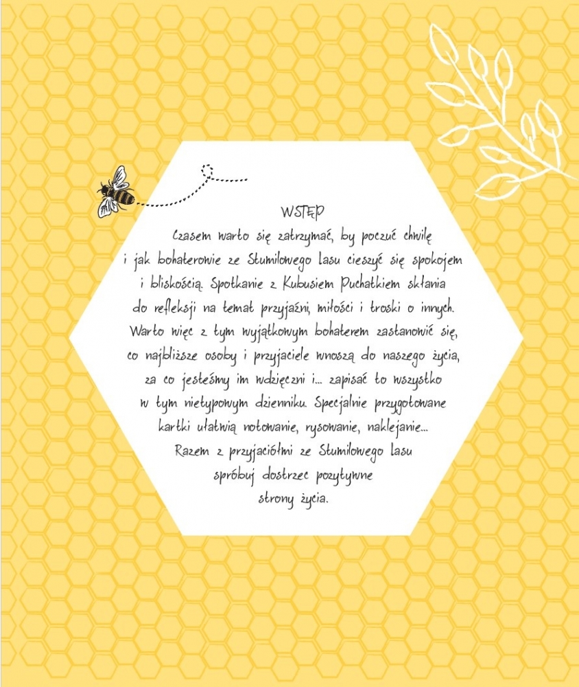 <img src='https://webimage.pl/pics/931/6/d9788384246931_001.jpg'>