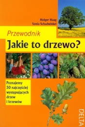 Jakie to drzewo? Przewodnik