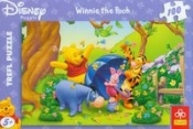 Puzzle 100 Wiosenny spacer (16093)
