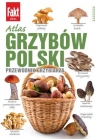 Atlas grzybów Polski Marek Snowarski