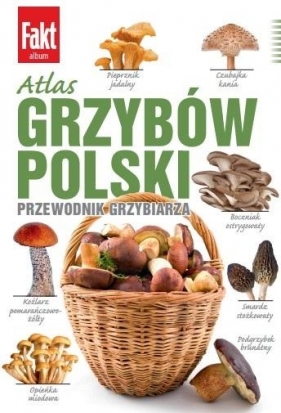 Atlas grzybów Polski - Marek Snowarski